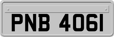 PNB4061
