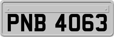 PNB4063