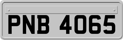 PNB4065