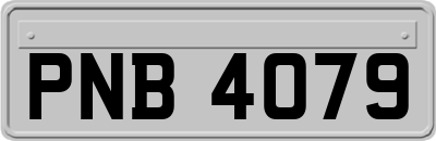 PNB4079