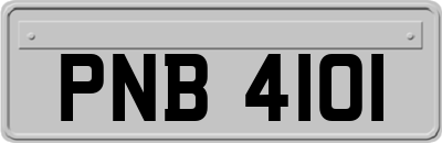 PNB4101