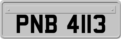 PNB4113