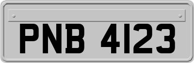 PNB4123
