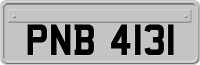 PNB4131