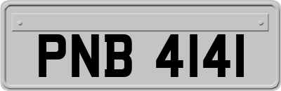 PNB4141