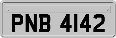 PNB4142