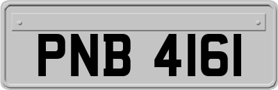 PNB4161