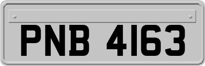 PNB4163