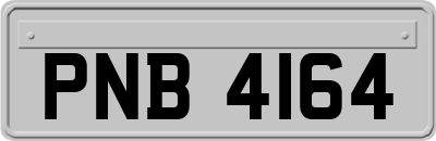 PNB4164