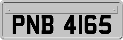 PNB4165