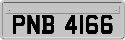 PNB4166