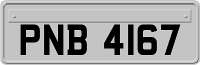 PNB4167