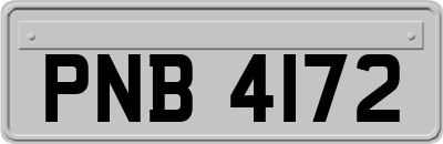 PNB4172