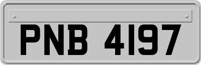 PNB4197