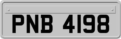 PNB4198