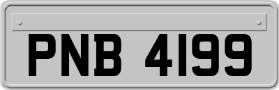 PNB4199