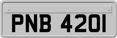 PNB4201