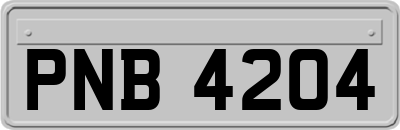 PNB4204