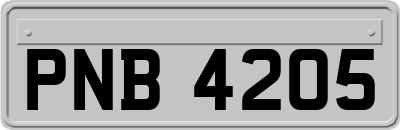 PNB4205