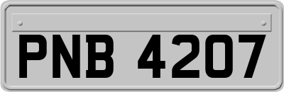 PNB4207