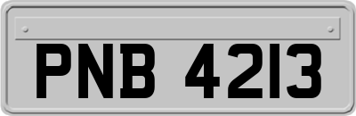 PNB4213