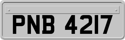 PNB4217
