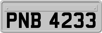 PNB4233