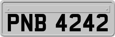 PNB4242