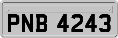 PNB4243