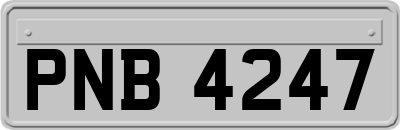 PNB4247