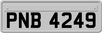 PNB4249