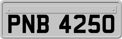PNB4250