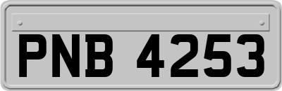 PNB4253