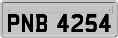 PNB4254