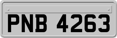 PNB4263