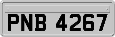 PNB4267