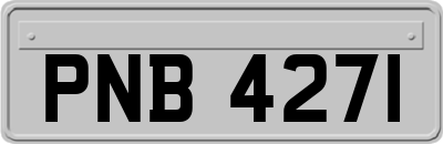PNB4271