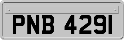PNB4291