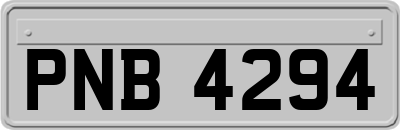 PNB4294