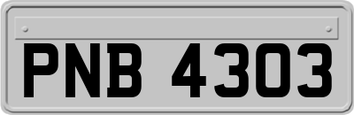 PNB4303