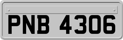 PNB4306
