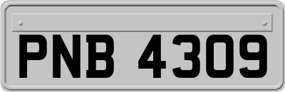 PNB4309