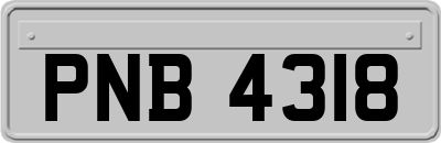 PNB4318