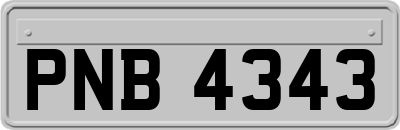 PNB4343