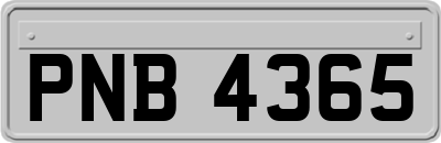 PNB4365