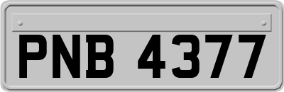 PNB4377