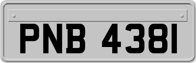 PNB4381
