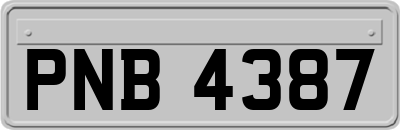 PNB4387