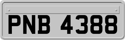 PNB4388