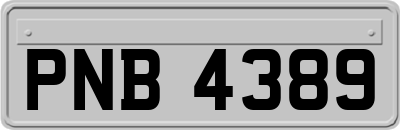 PNB4389